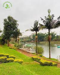 Evergreen Park